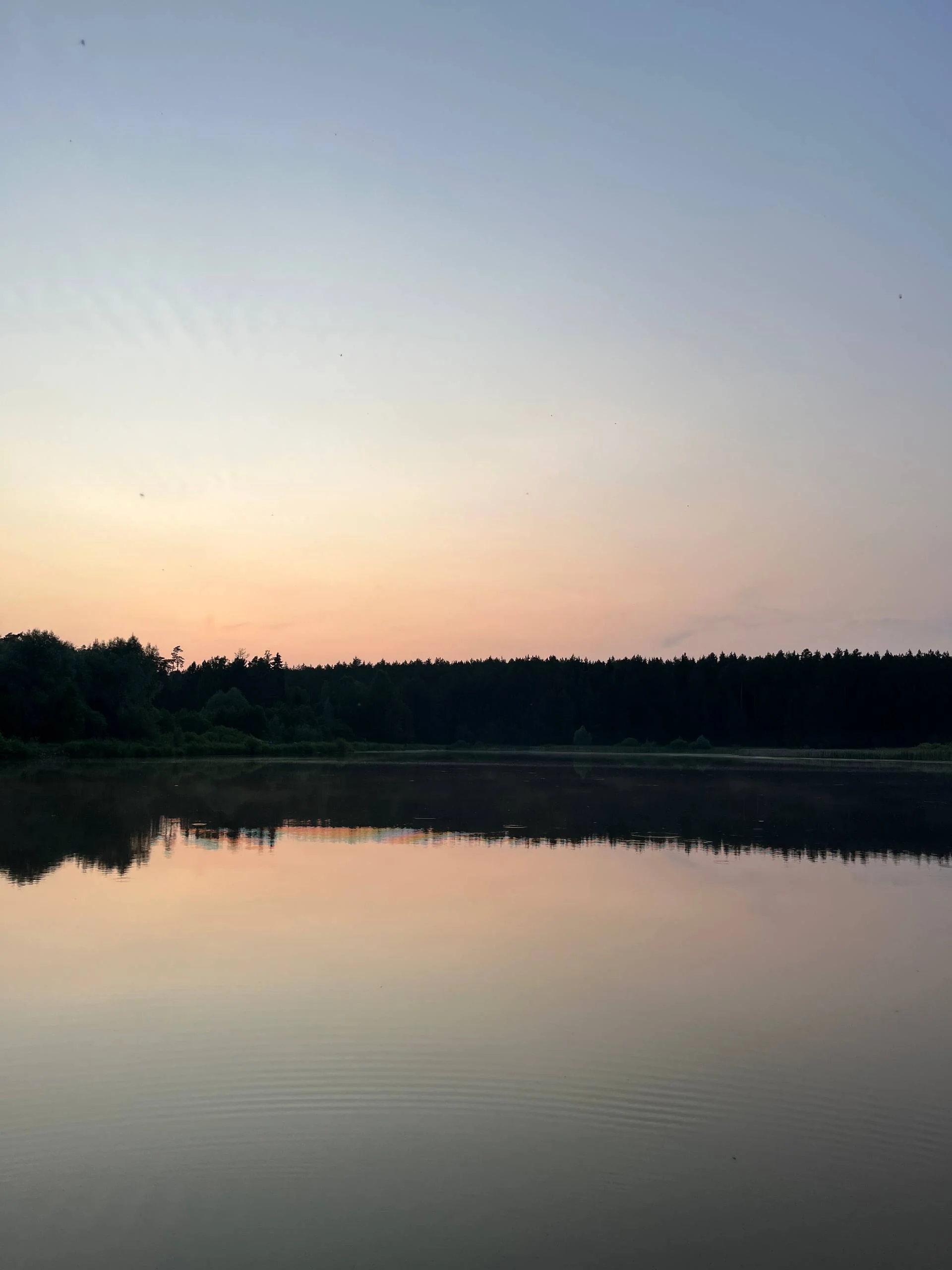Природа рядом (заглушка)
