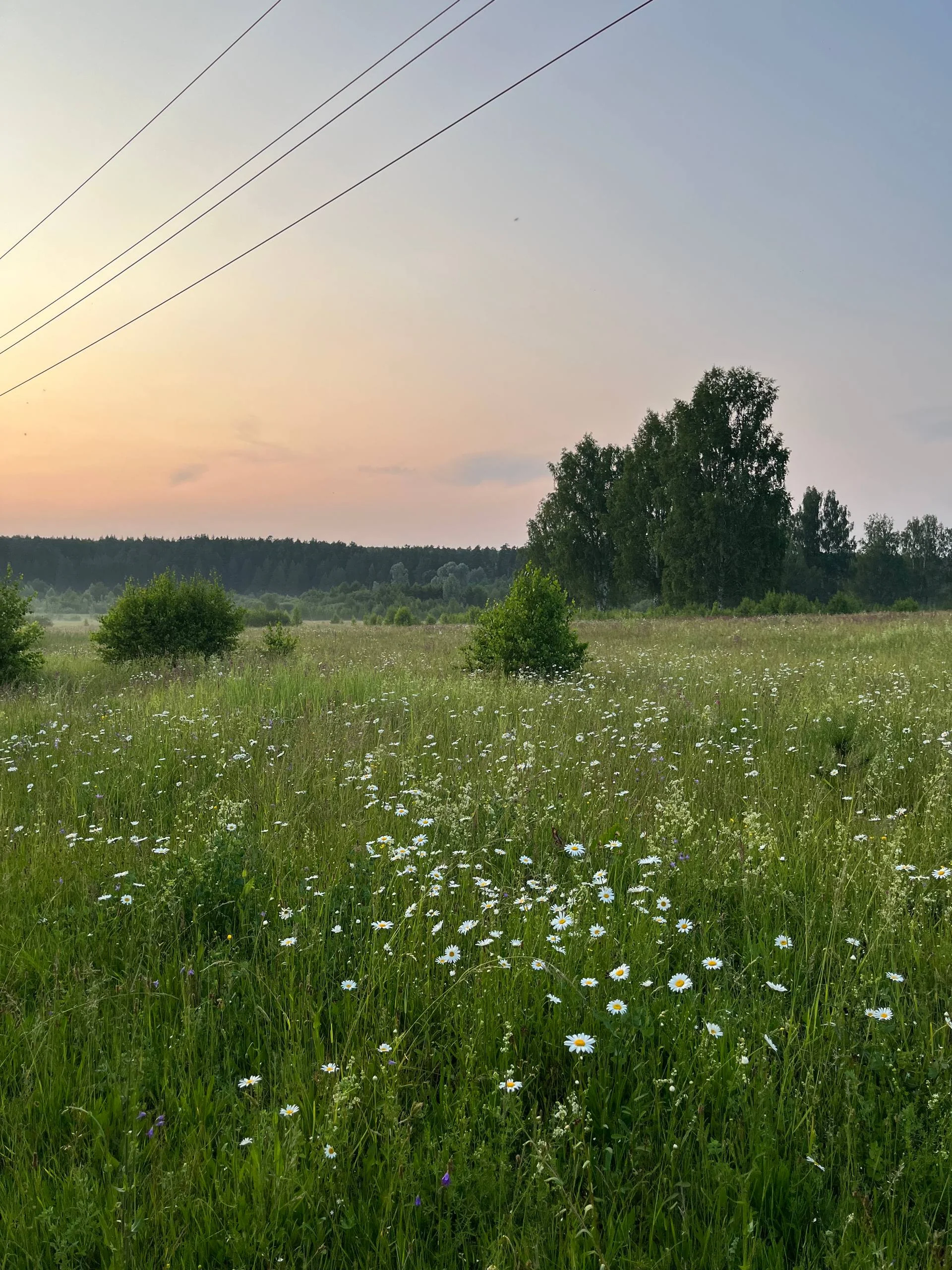 Улица и дома в Балдейке (заглушка)